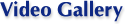 Video Gallery