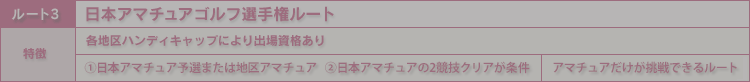 日本アマチュアゴルフ選手権ルート