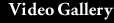 Video Gallery
