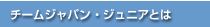 チームジャパンジュニアとは